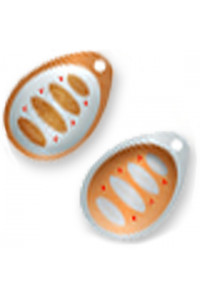 Блесна P21 вращ. Ball Concept #3 B03-002